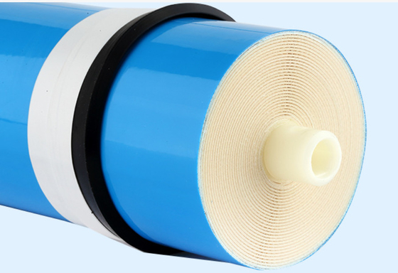 10 Inch Ro Membrane 5um 1-3 Gallons Per Minute Odporność na ciśnienie