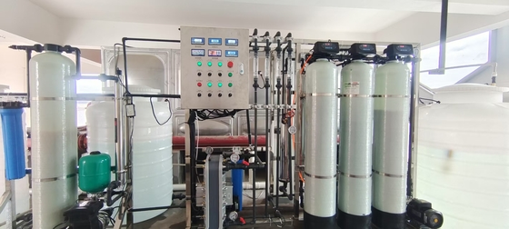 ​Single Stage Reverse Osmosis EDI Water Purifier Machine Advanced Filtration Technology